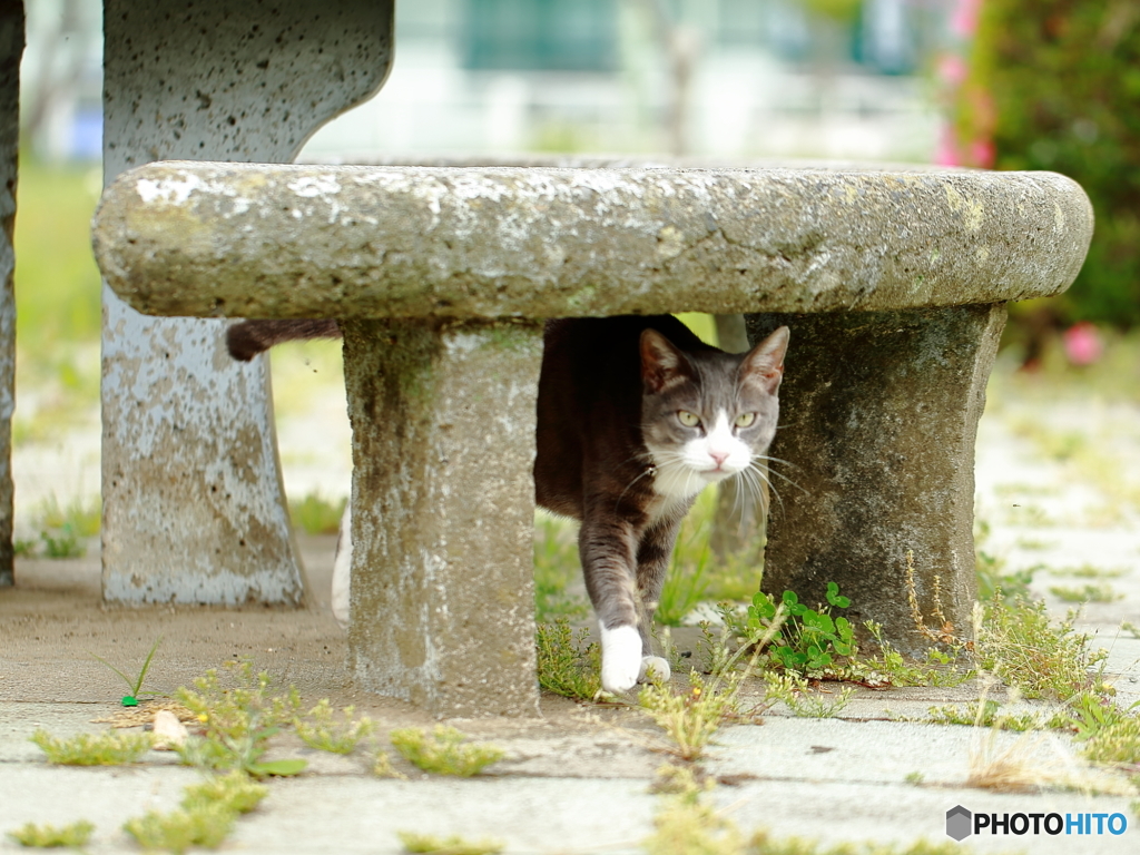 公園散策〈安全地帯〉