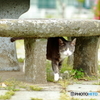 公園散策〈安全地帯〉