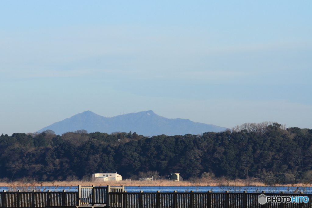 紫峰を望む