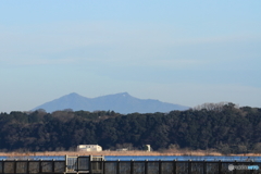 紫峰を望む