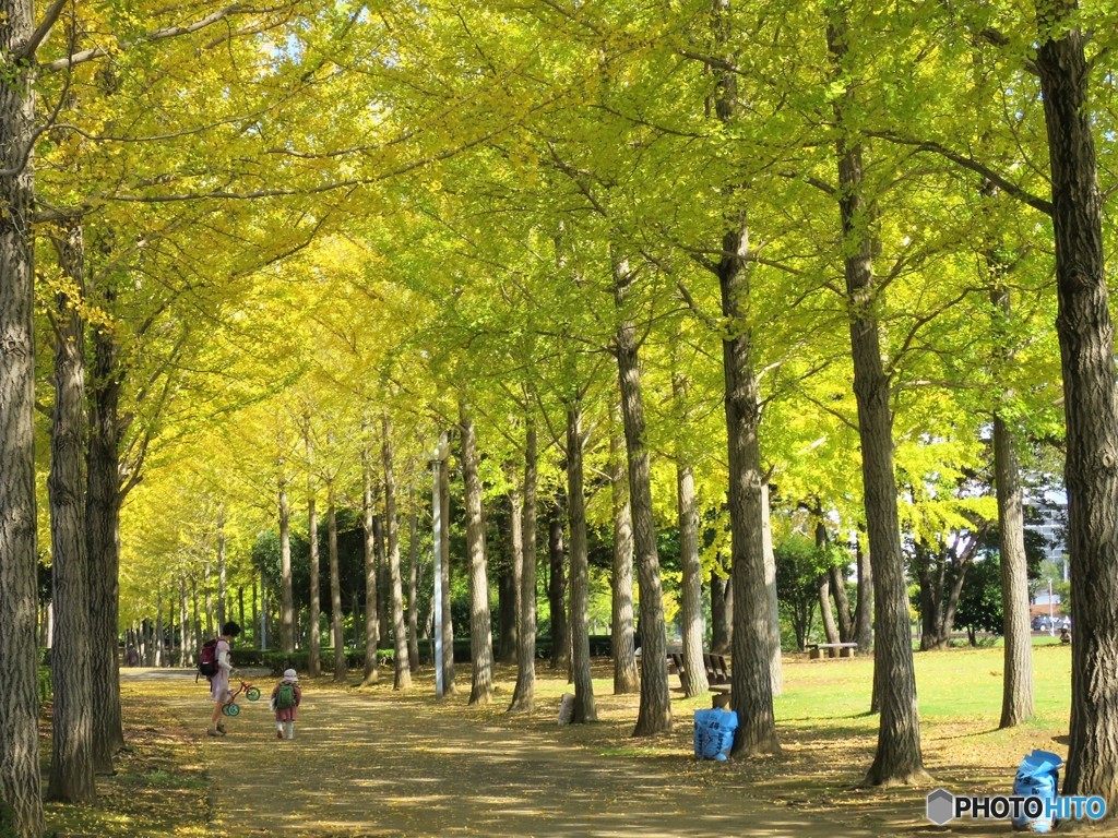 科学万博記念公園