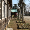 ○○分教場の銀杏