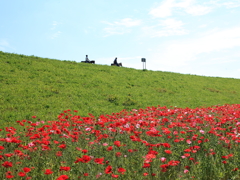 長閑な風景！