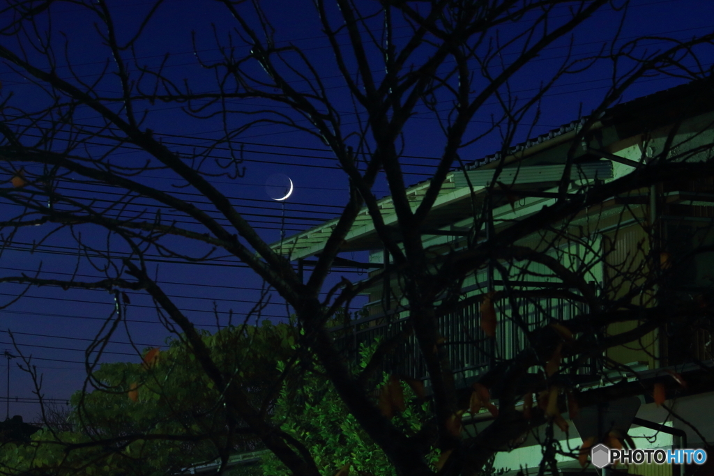 電線避けて…