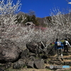 ❜18筑波山梅まつり～登山道～