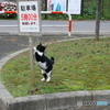 駐車場管理人代理！
