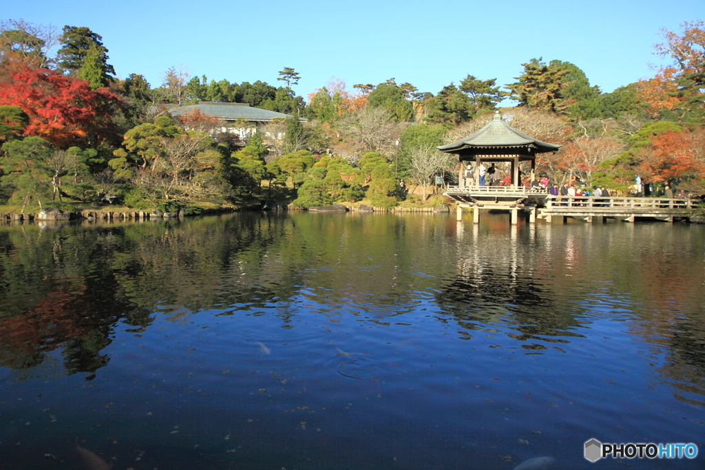 成田山公園 ～ 竜智の池 ～