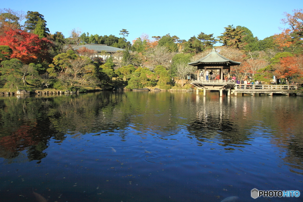 成田山公園 ～ 竜智の池 ～