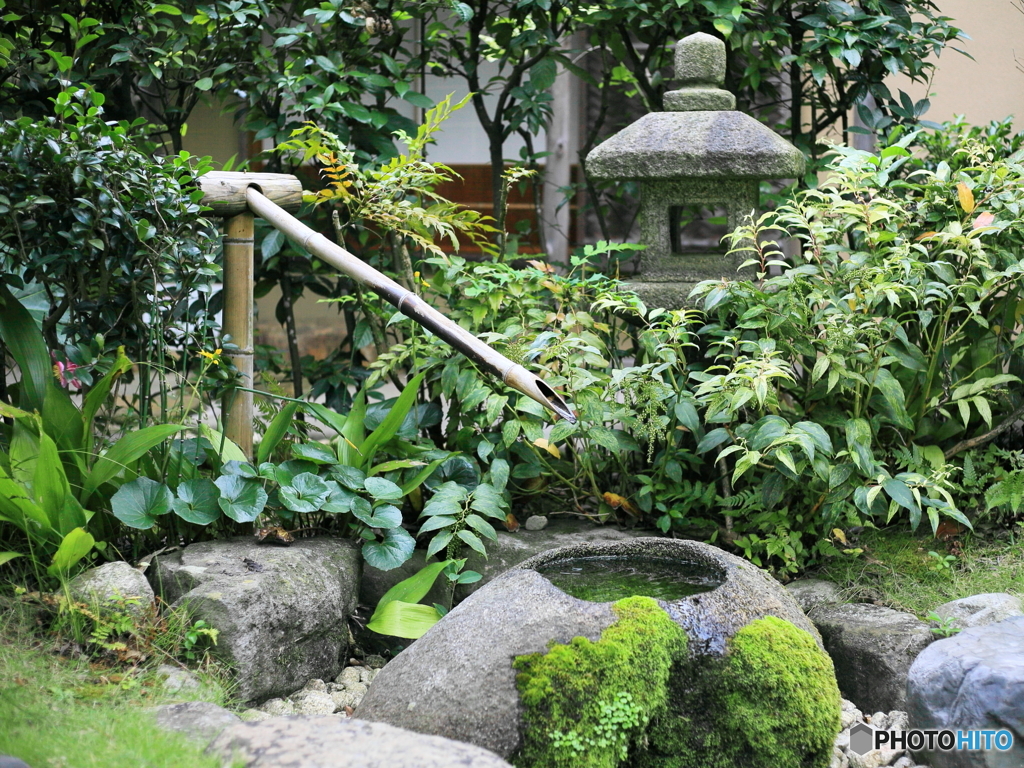 侘び寂び