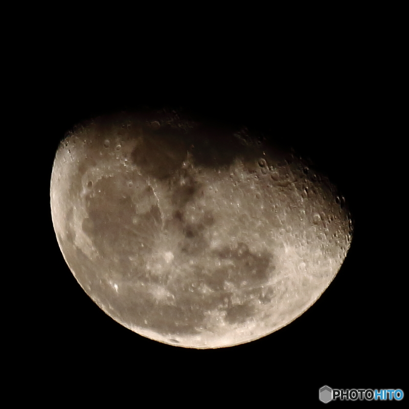 月齢18.4 ( 2015/11/30 ）