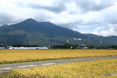 紫峰の恵み