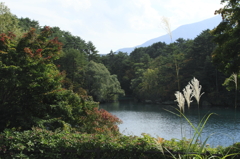 紅葉’ちょっと前。