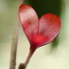 photohitoに愛をこめて♥♥