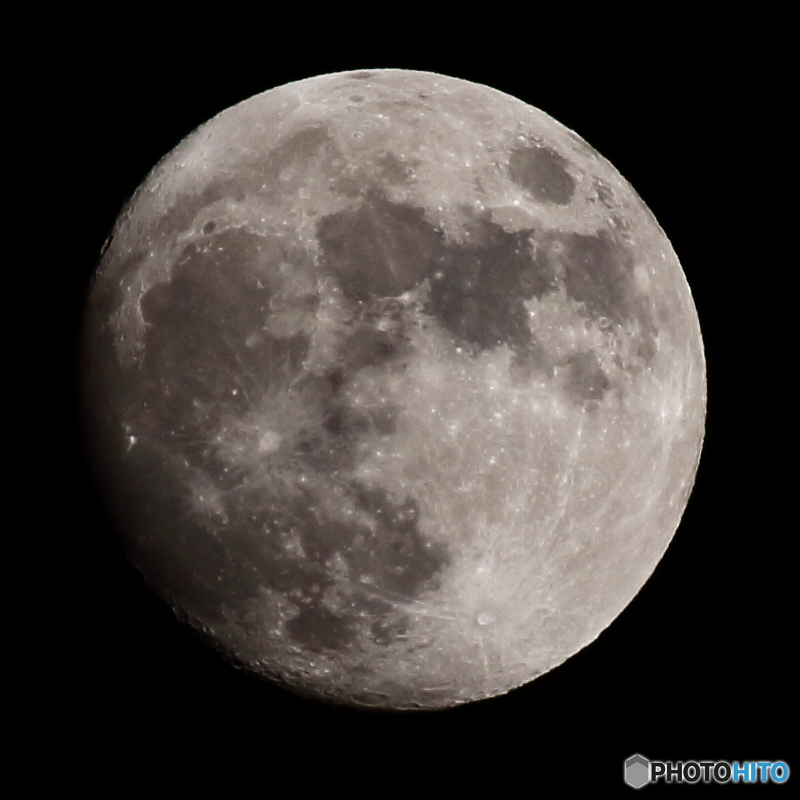 月齢12.4 ( 2015/11/24 )
