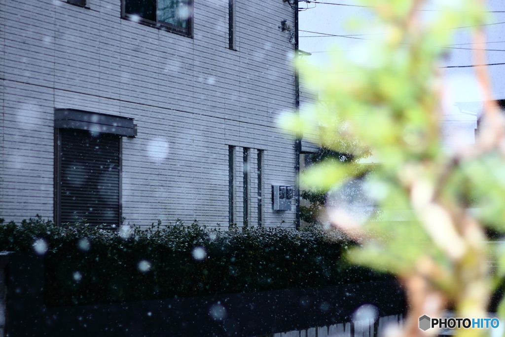 ❜18 初雪