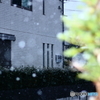 ❜18 初雪