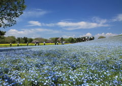 古民家のある風景！