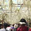 白藤のトンネル