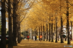 晩秋の公園模様ー駆ける人