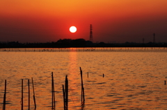 晩秋の情景