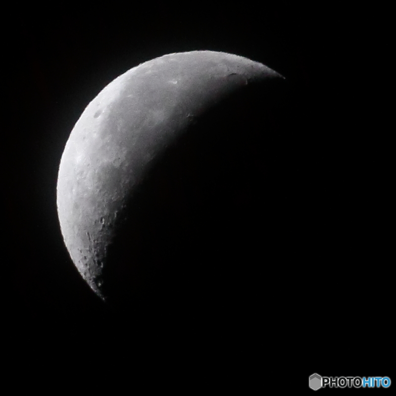月齢23.1 有明月