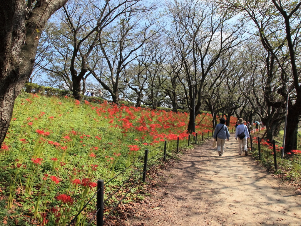 もうひとつの花咲く風景！