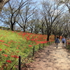 もうひとつの花咲く風景！
