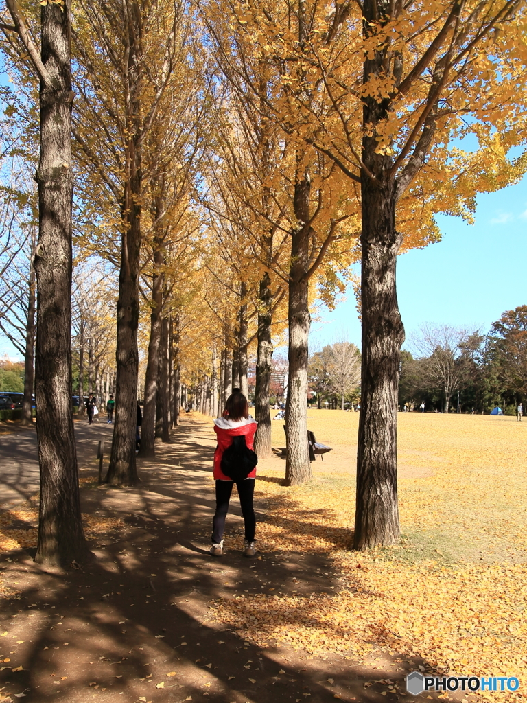 晩秋の公園