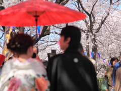 幸せ満開、花満開✿✿