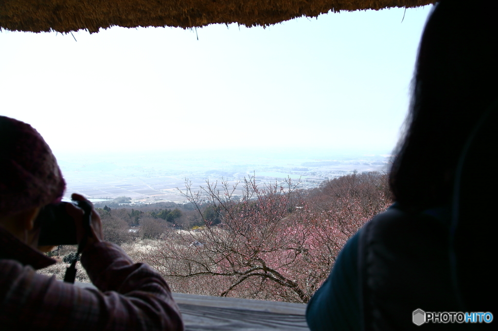 「展望あずまや」より