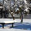 雪の児童公園