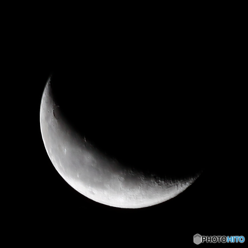 月齢23.4 ( 2015/12/05 ）