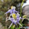 勝利への決意