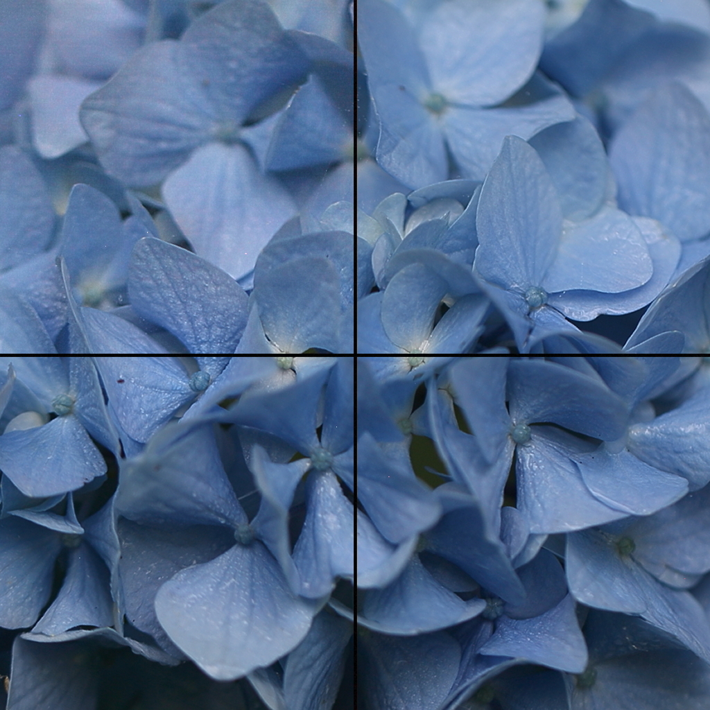紫陽花のモザイクタイル