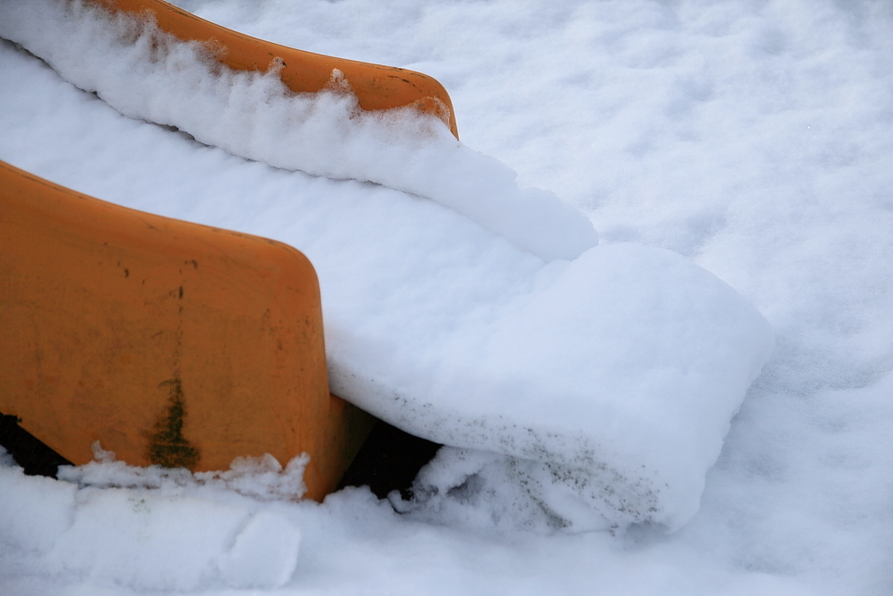 初雪積に遊ぶ。