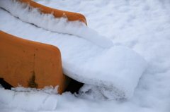 初雪積に遊ぶ。