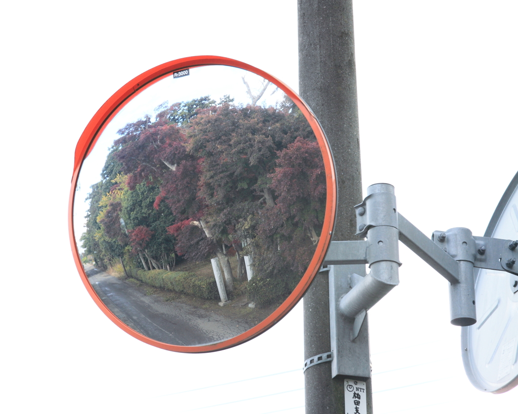 よくミラー ♪ 紅葉が !!