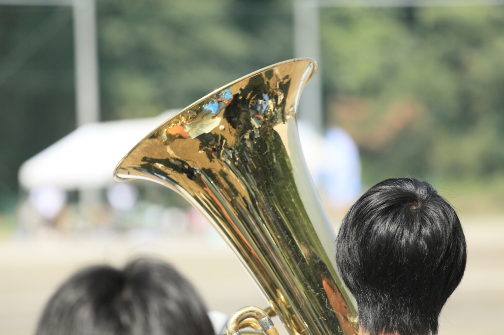 黄金の映り込み。