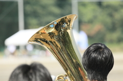 黄金の映り込み。