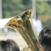 黄金の映り込み。