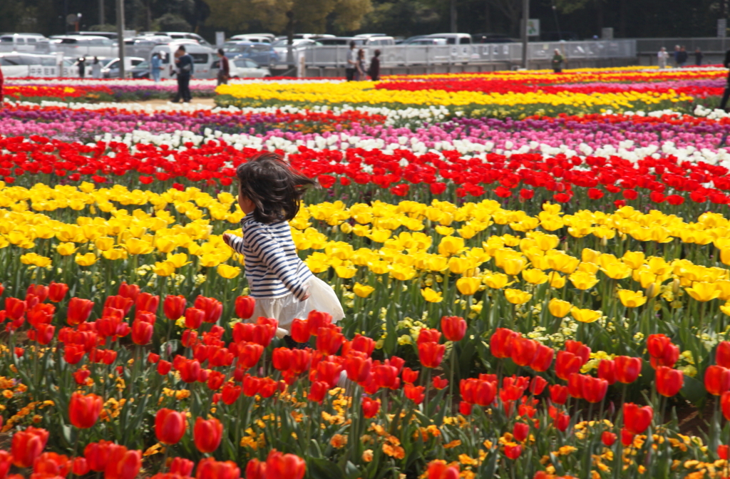 春香を駆ける少女