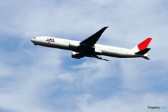 JAL～鶴のマークが…