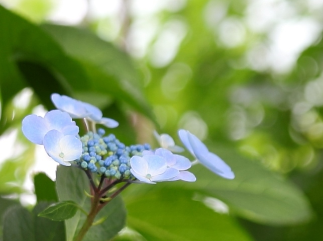 物静かで謙虚に