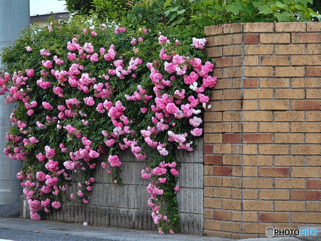 華やかに・・・