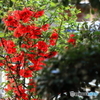 平凡