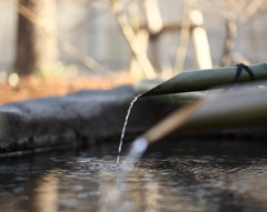 浄水に思ふ。