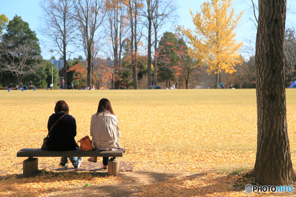 公園の秋 - かたらう -