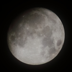 月齢12.6小望月