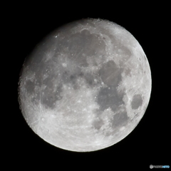 月齢11.8  十三夜