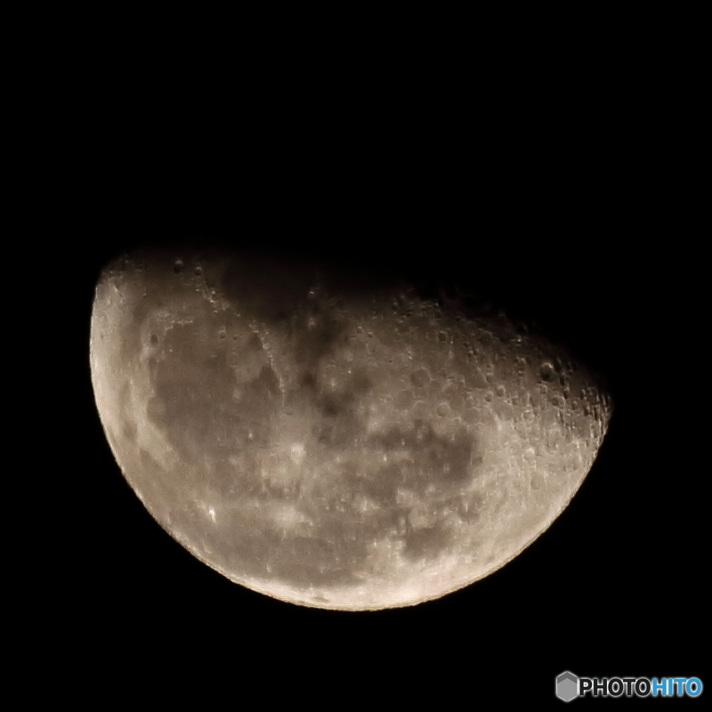 月齢19.4 ( 2015/12/01 )